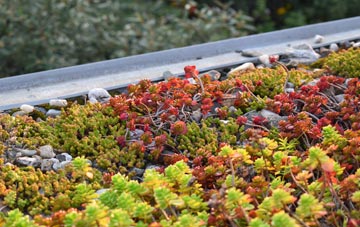 the cost of Rampton green roof installation