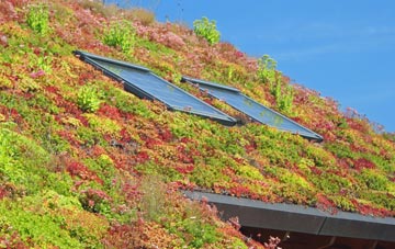 Rampton living roof systems