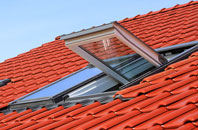 Rampton roof window
